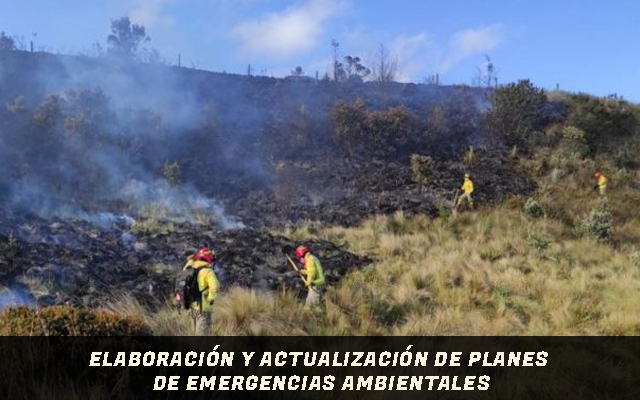 Elaboración