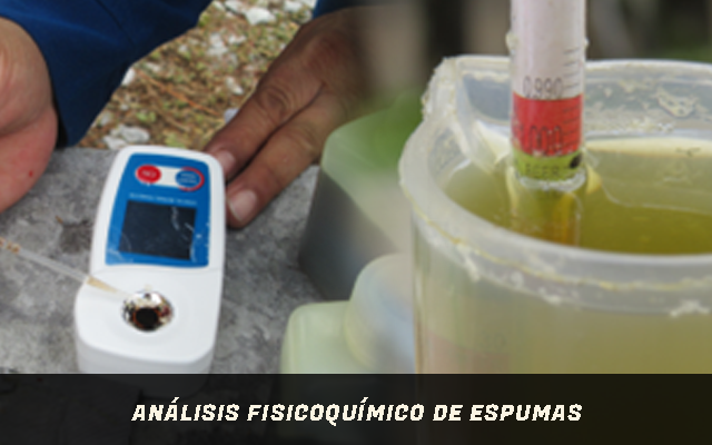 Análisis Físico