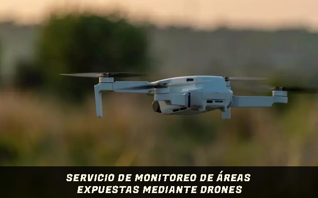 Drones